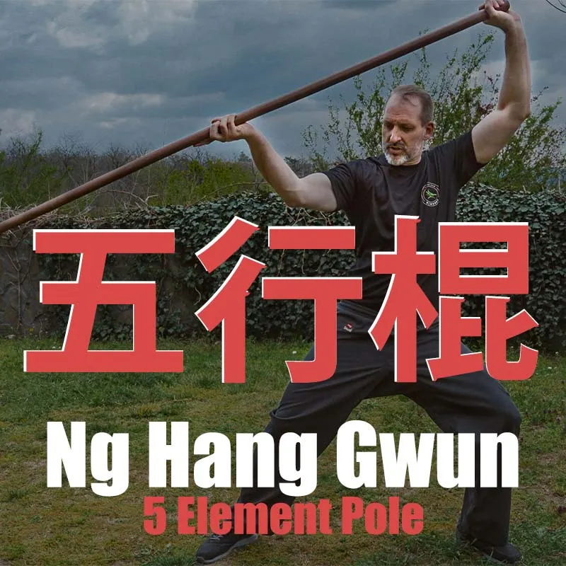 Ng Hang Gwun (五行棍) - 5 Element Pole