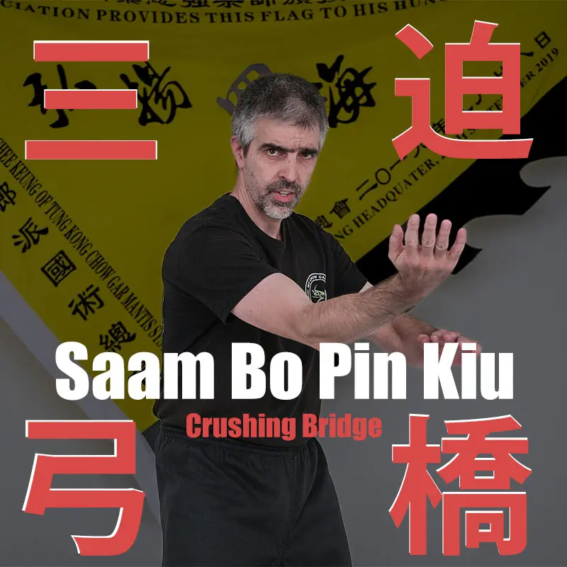 Saam Bo Pin Kiu (三步迫橋) – The Crushing Bridge Form