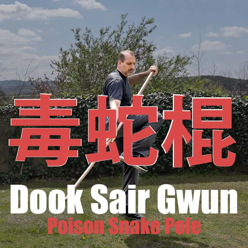 Poison Snake Pole Form (毒蛇棍)