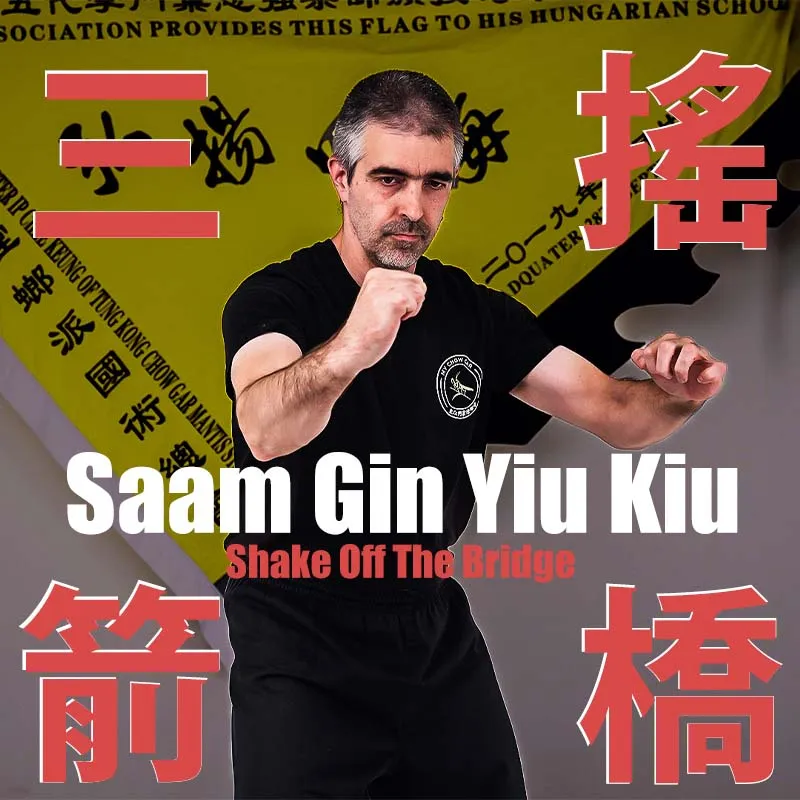 Shake Off The Bridge - Saam Gin Yiu Kiu