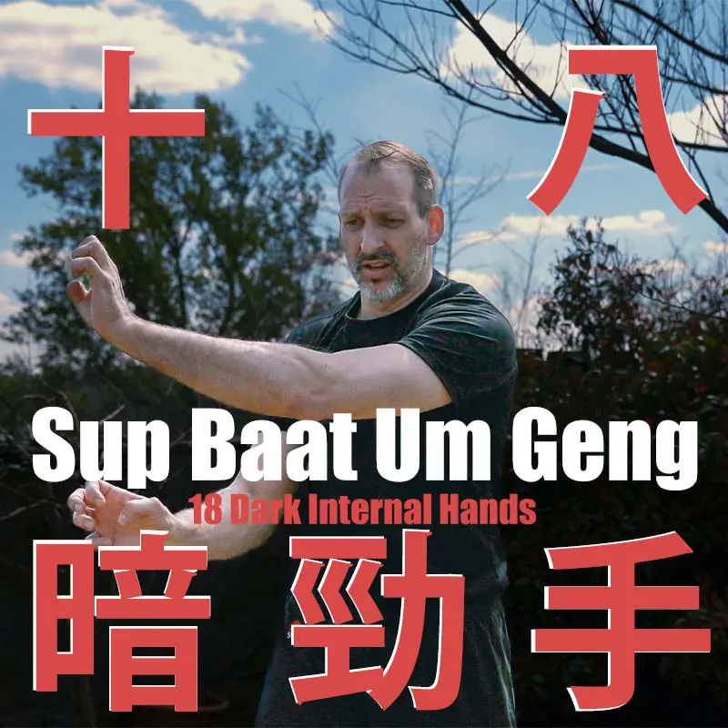18 Dark Internal Hands (十八暗勁手)