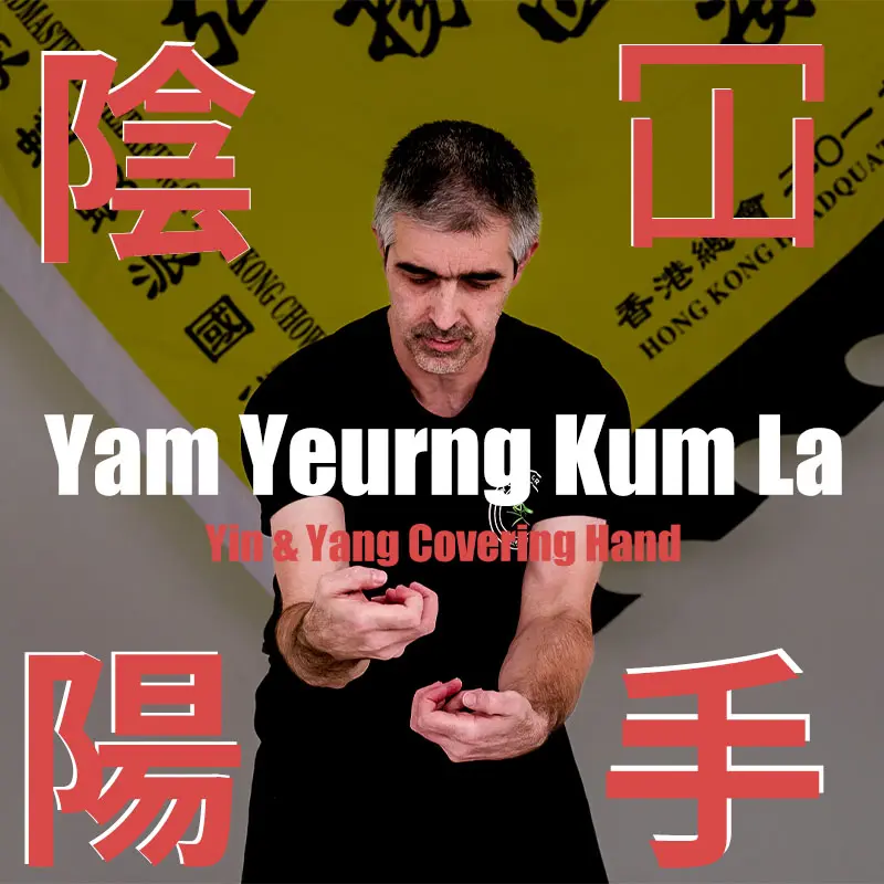 Yam Yeurng Kum La (陰陽冚手) – The Yin-Yang Covering Hands Form